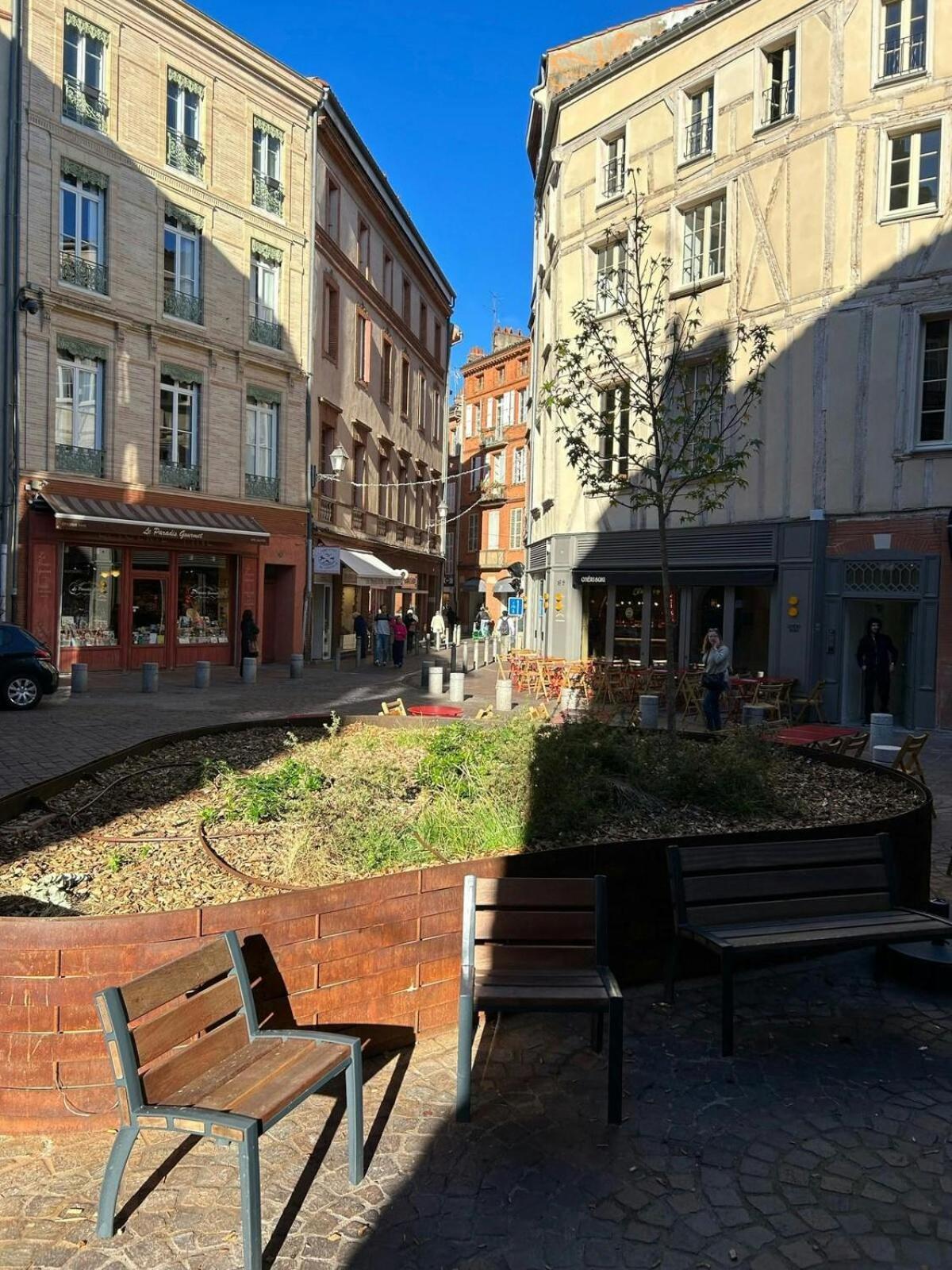 T1Bis-Cosy-Place Salengro-Metro Toulouse Extérieur photo